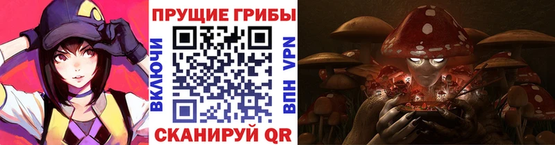 Купить закладки  Шацк  Галлюциногенные грибы MAGIC MUSHROOMS 